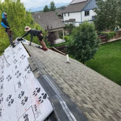 Roofing Project